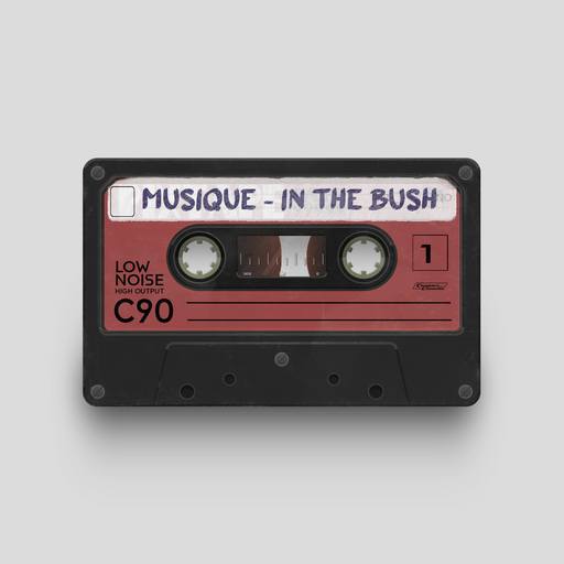 02578 - Musique - In the Bush